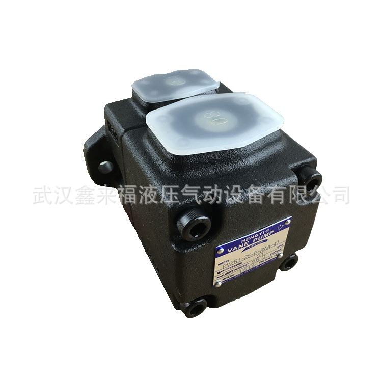 柱塞泵同時出現振動和噪聲問題該怎么辦？